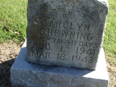 Carolyn Chewning on Sysoon