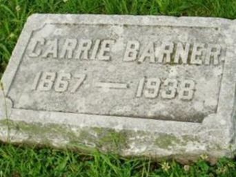 Carrie Barner on Sysoon