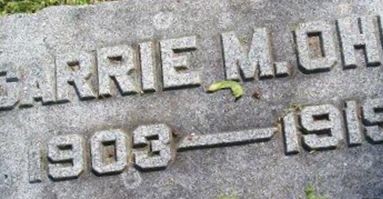 Carrie M Ohm on Sysoon
