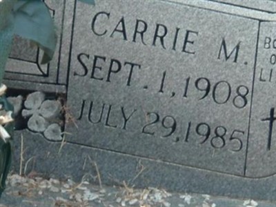 Carrie M. Rundles on Sysoon