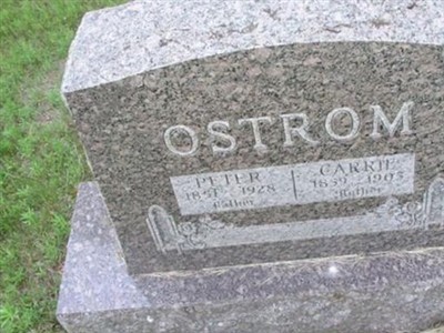 Carrie Ostrom on Sysoon