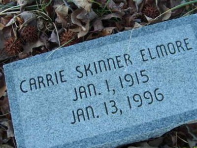 Carrie Skinner Elmore on Sysoon