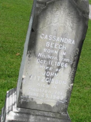 Cassandra Beech Fitzgibbon on Sysoon