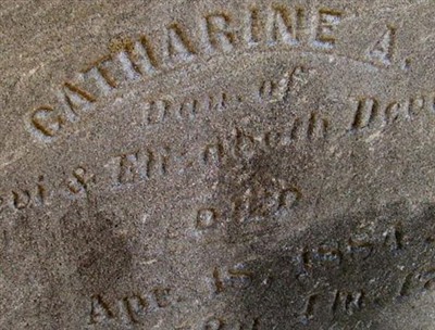 Catharine Ann Devolld on Sysoon