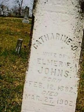 Catharine O Copenhaver Johns on Sysoon
