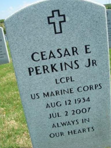 Ceasar E Perkins, Jr on Sysoon