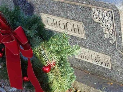 Cecelia C. Schultz Groch on Sysoon
