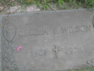 Cecilia Castano Wilson on Sysoon