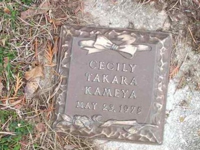 Cecily Takara Kameya on Sysoon