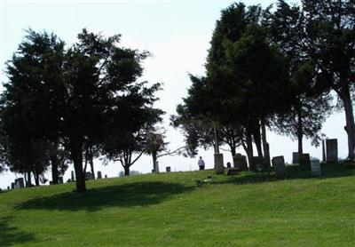 Cedar Grove Cemetery on Sysoon