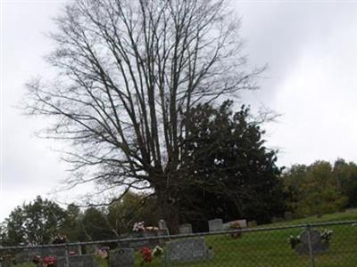 Cedar Grove Cemetery on Sysoon