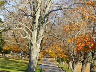 Cedar Hill Cemetery on Sysoon