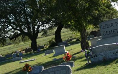 Cedar Point Cemetery on Sysoon