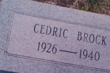 Cedric Brock on Sysoon