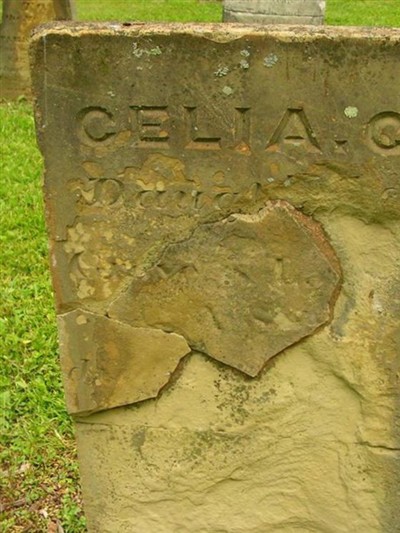 Celia C Case on Sysoon