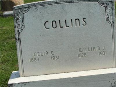 Celia C. Collins on Sysoon