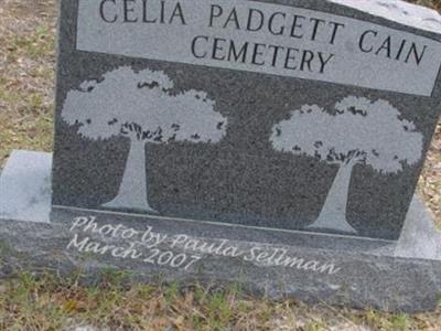 Celia Padgett Cain Cemetery on Sysoon