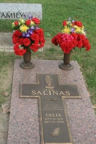 Celia Salinas on Sysoon