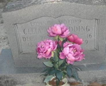 Celia V. Wilkinson Redding on Sysoon