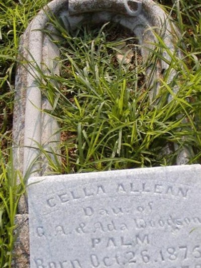 Cella Allean Palm on Sysoon