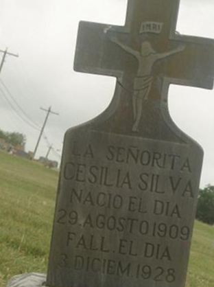 Cesilia Silva on Sysoon