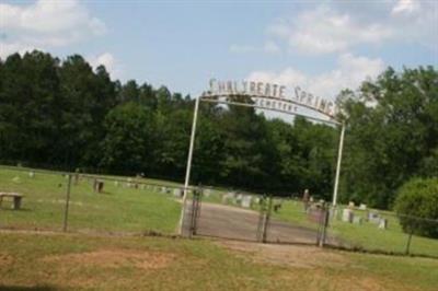 Chalybeate Springs Cemetery on Sysoon