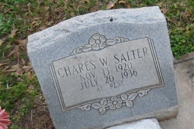 Chares W Salter on Sysoon