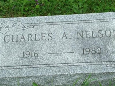Charles A Nelson on Sysoon