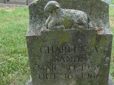 Charles A Sands, Find a grave on Sysoon Charles A Sands on Sysoon