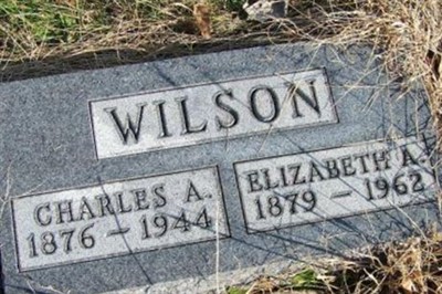 Charles A. Wilson on Sysoon