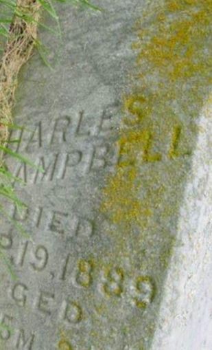 Charles Campbell on Sysoon