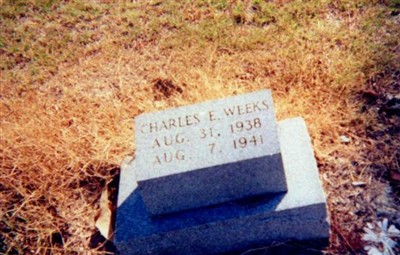 Charles E Weeks on Sysoon