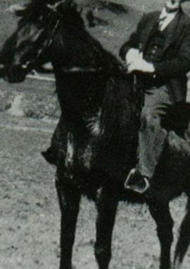 Charles Edward Coe on Sysoon
