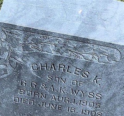 Charles K Wyss on Sysoon