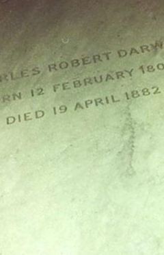 Charles Robert Darwin on Sysoon