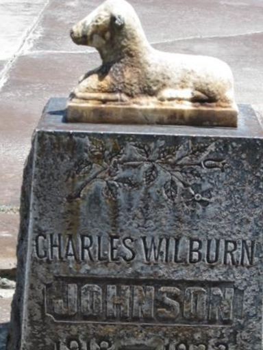 Charles Welburn Johnson on Sysoon
