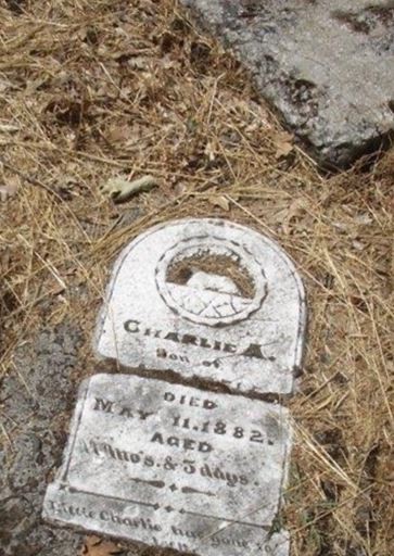 Charlie A. Field on Sysoon