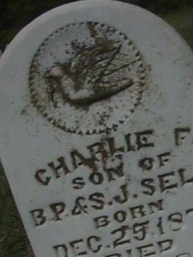 Charlie F Self on Sysoon