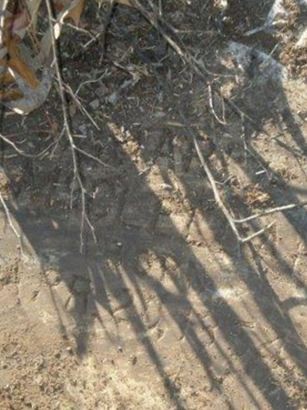 Charlie McClellan on Sysoon