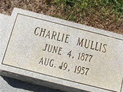 Charlie Mullis on Sysoon