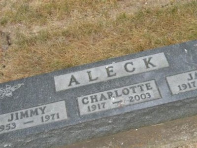 Charlotte H. Forsberg Aleck on Sysoon