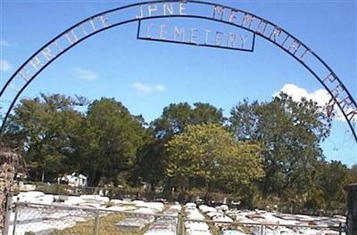 Charlotte Jane Memorial Park Cemetery on Sysoon