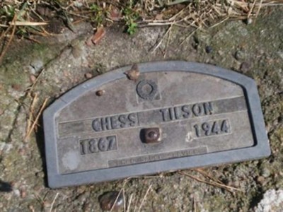 Chess W. Tilson on Sysoon