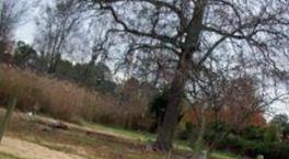 Chesson Family Cemetery on Sysoon