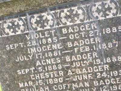 Chester A Badger on Sysoon