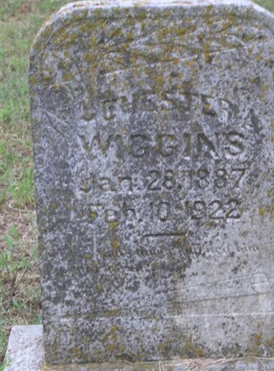 Chester A. Wiggins on Sysoon