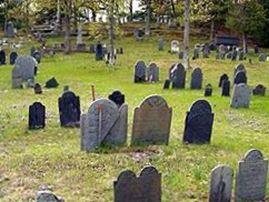 Chestnut Tree Cemetery on Sysoon