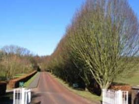 Chiltern Crematorium on Sysoon