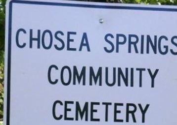 Chosea Springs Cemetery on Sysoon