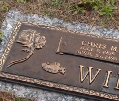 Chris M. Willems on Sysoon